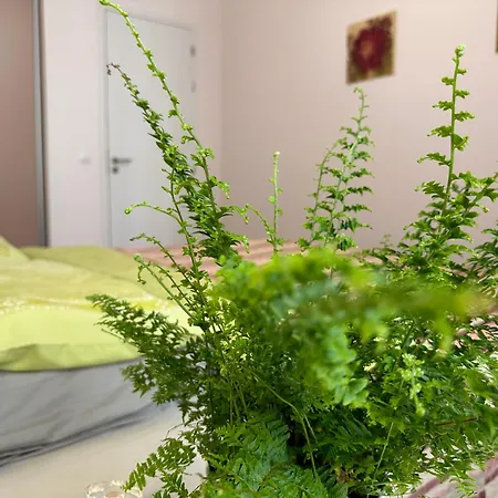 Apartment Center 2 *